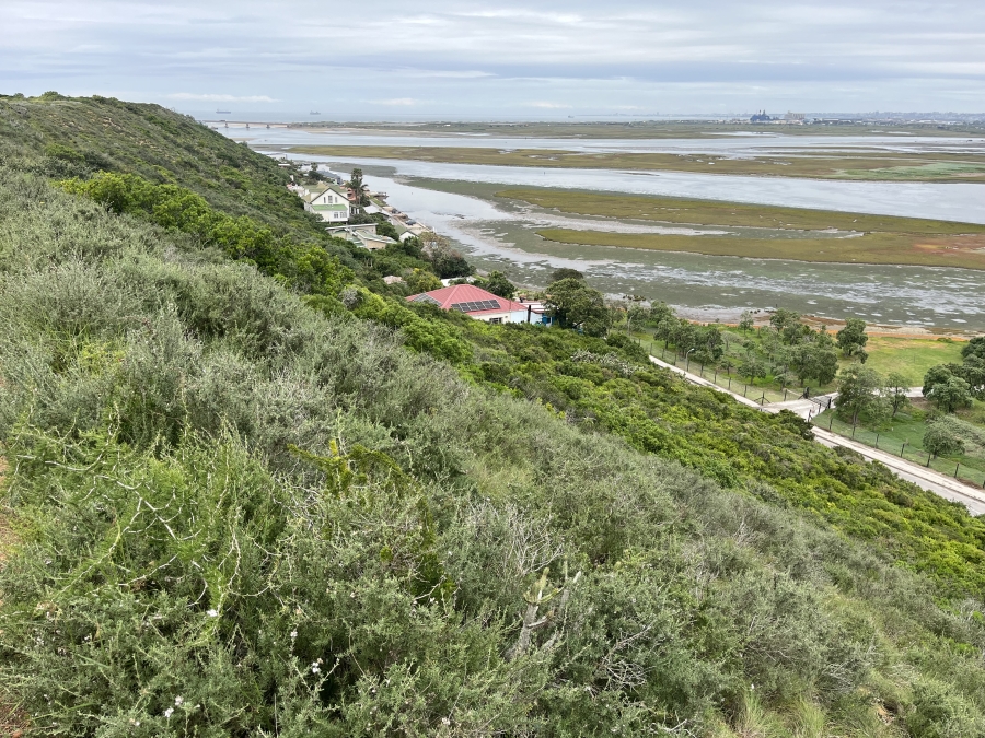 0 Bedroom Property for Sale in Amsterdamhoek Eastern Cape
